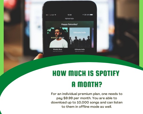 How Much Is Spotify A Month
