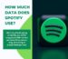 Data Spotify Use